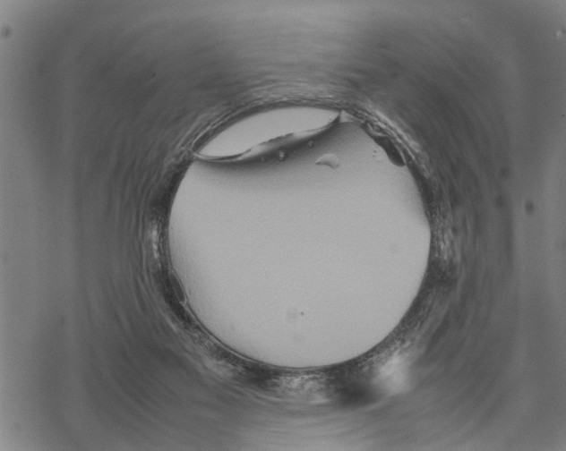 X0000067480117200605051722