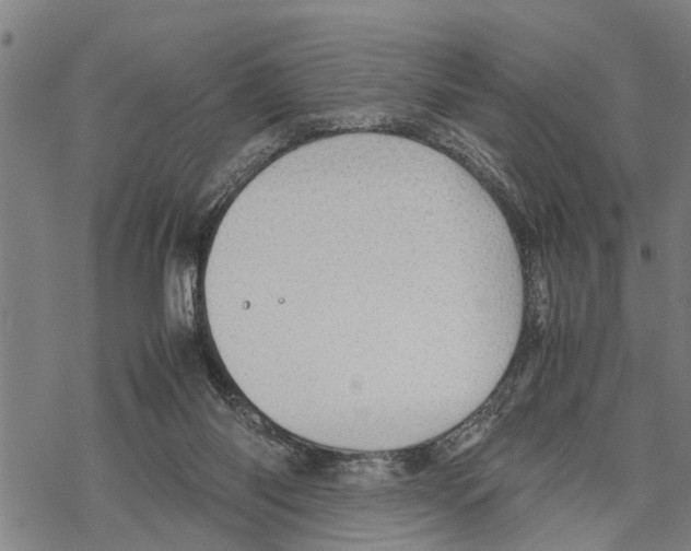 X0000067480118200605051722