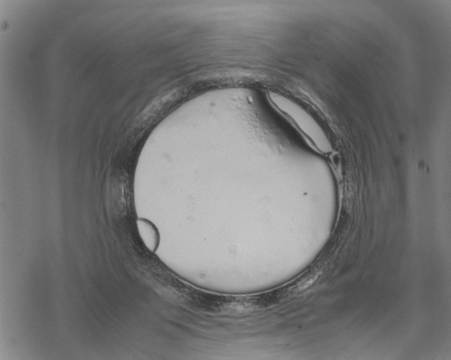 X0000067480119200605051722