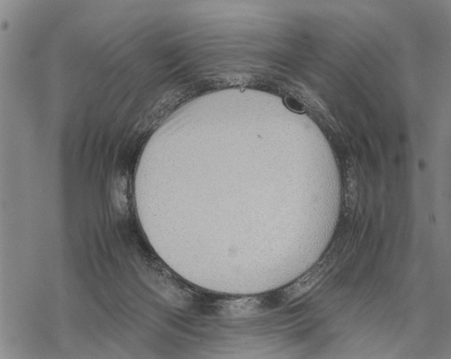 X0000067480122200605051722