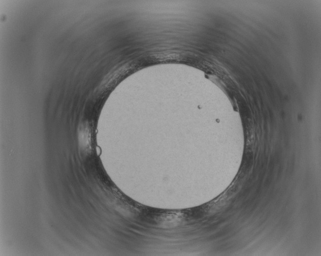 X0000067480124200605051722