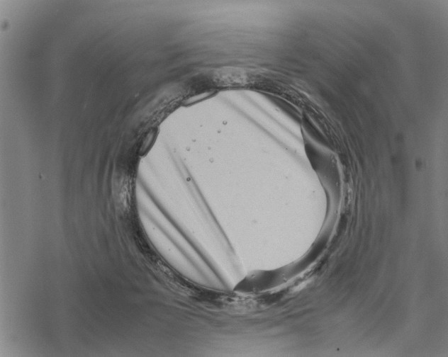 X0000067480125200605051722