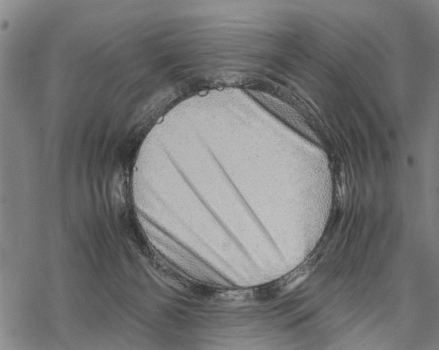 X0000067480126200605051722