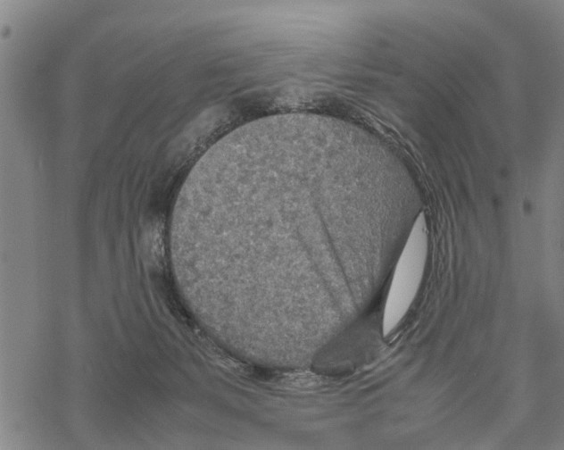 X0000067480127200605051722