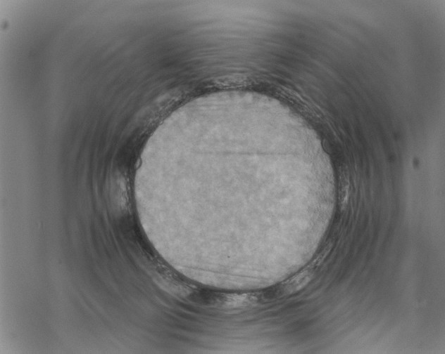 X0000067480130200605051722