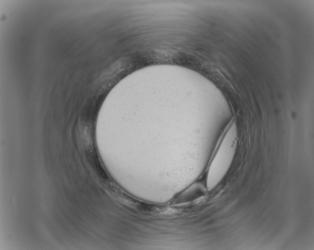 X0000067480131200605051722