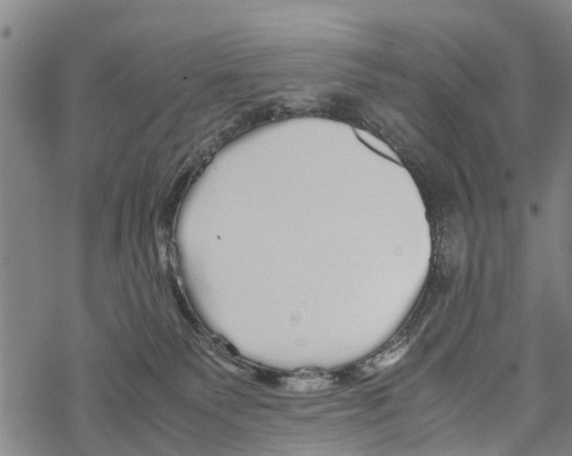 X0000067480135200605051722