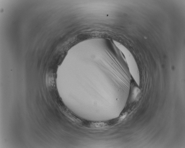 X0000067480137200605051722