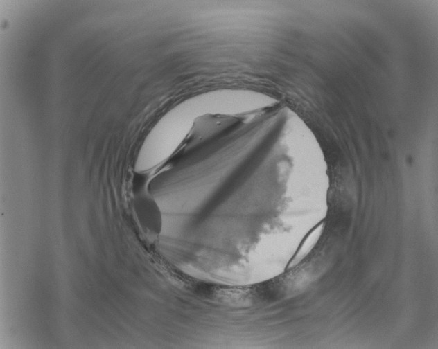 X0000067480139200605051722