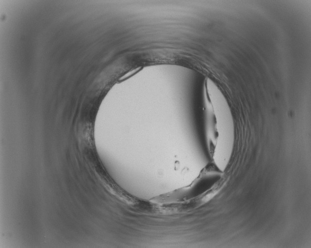 X0000067480141200605051722