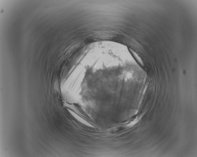 X0000067480143200605051722