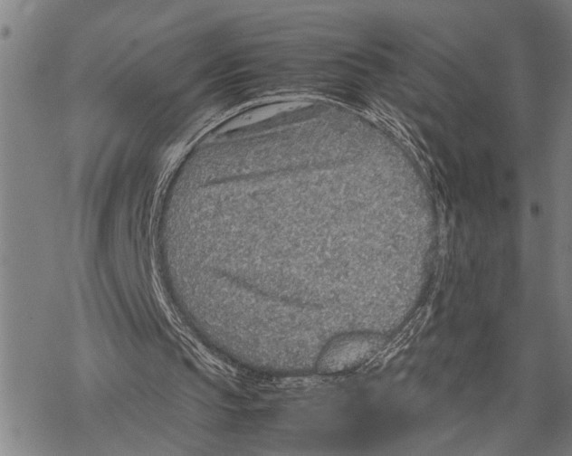 X0000067480145200605051721