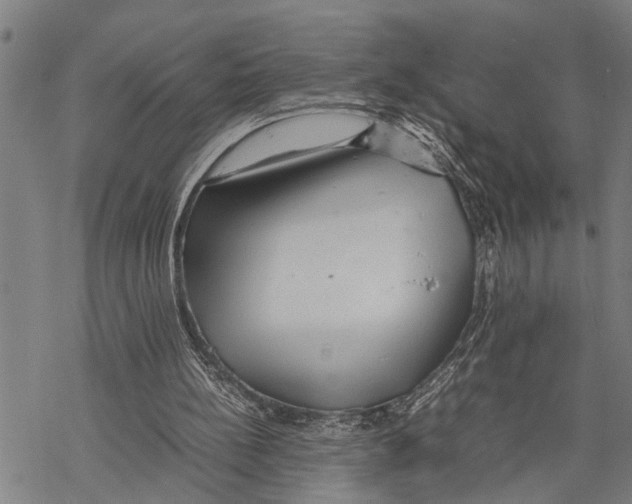 X0000067480148200605051721