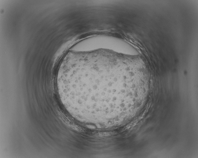 X0000067480149200605051721