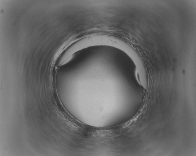 X0000067480150200605051721