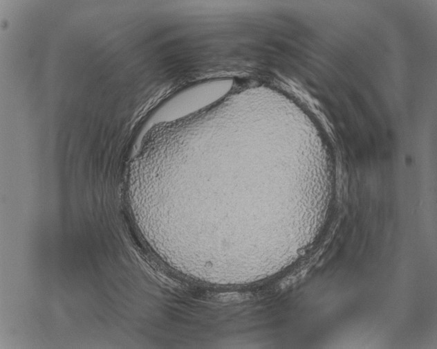 X0000067480153200605051721