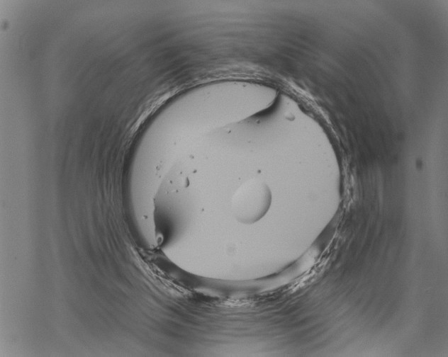 X0000067480154200605051721