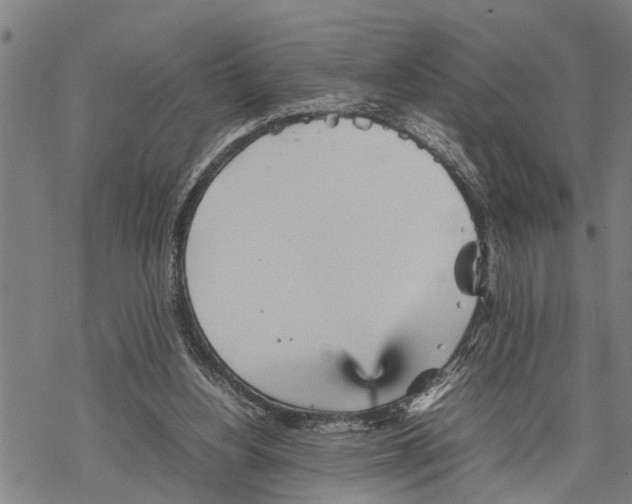 X0000067480156200605051721