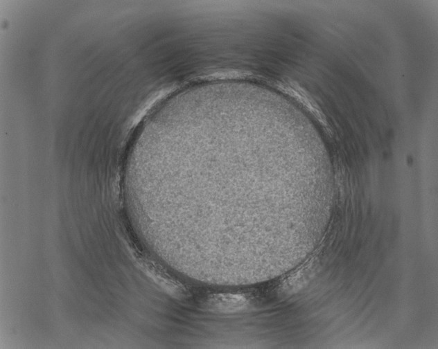 X0000067480159200605051721