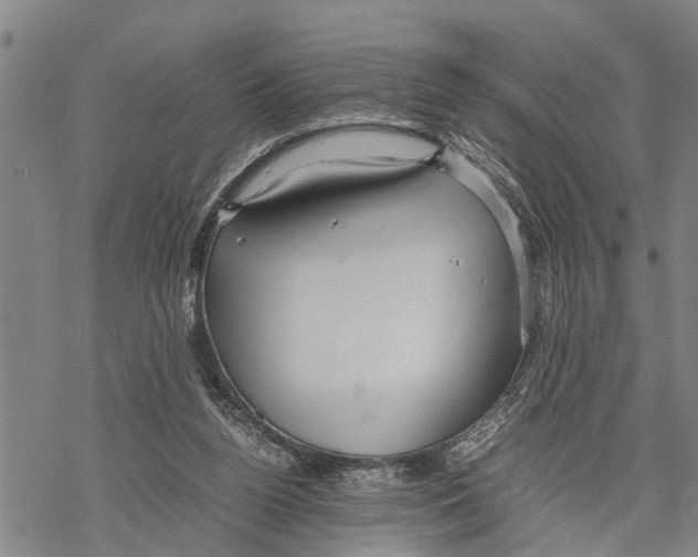 X0000067480160200605051721