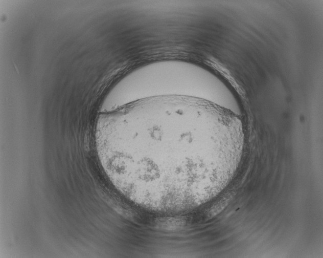 X0000067480161200605051721