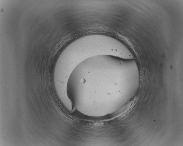 X0000067480162200605051721