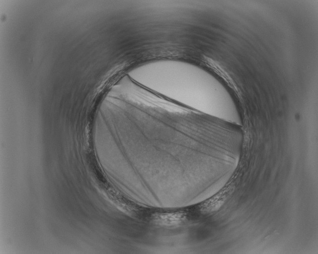 X0000067480163200605051721