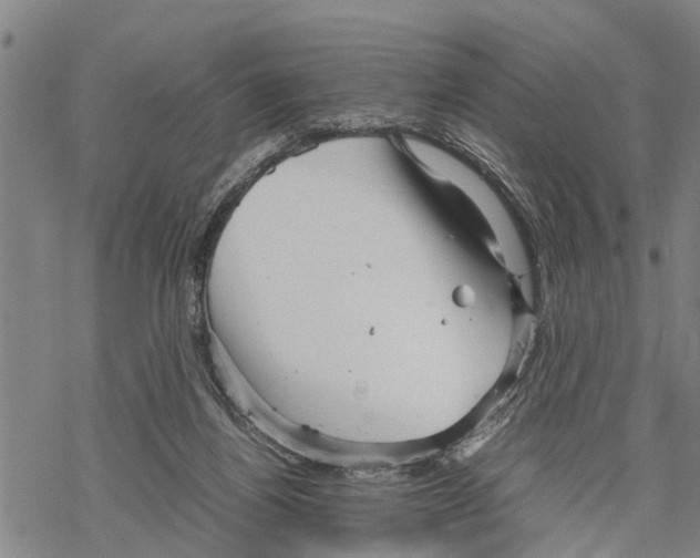 X0000067480164200605051721