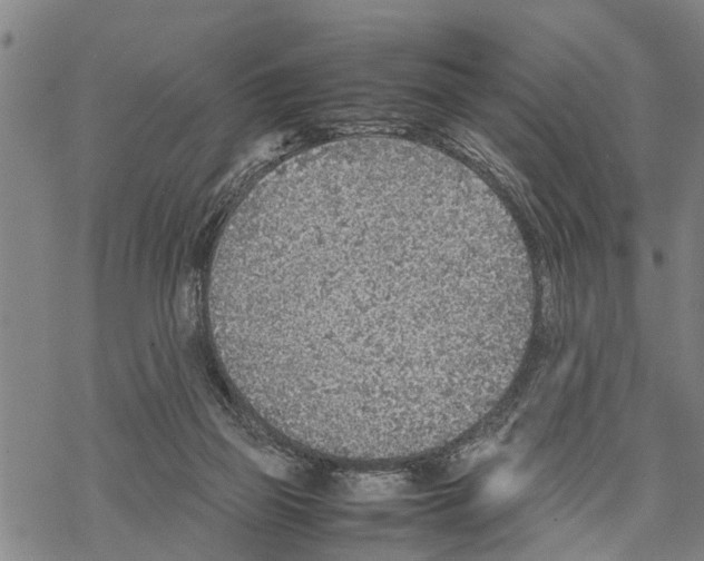 X0000067480165200605051721