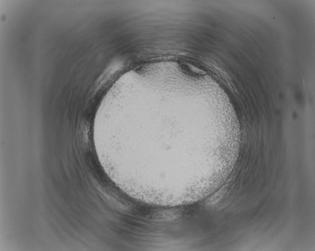 X0000067480166200605051721