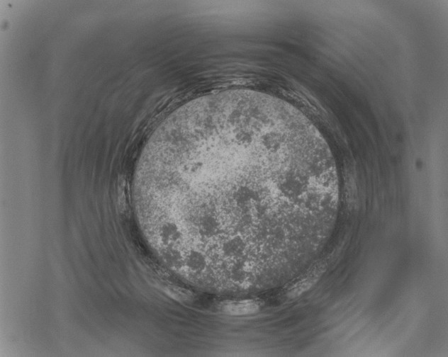 X0000067480169200605051721