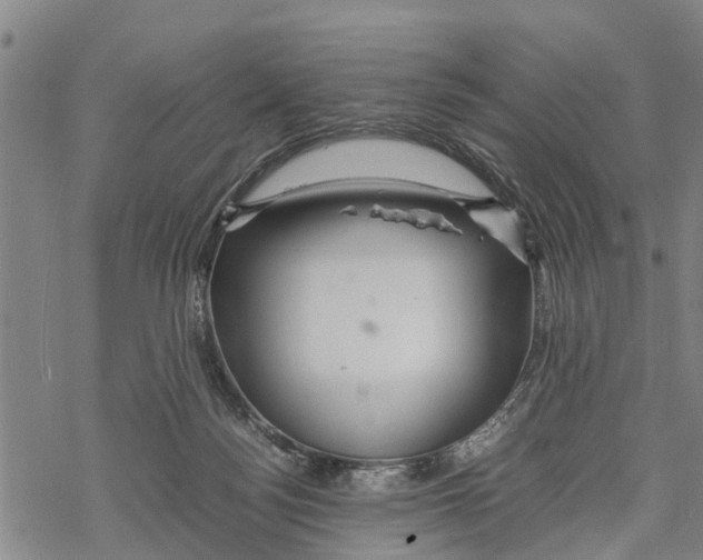 X0000067480172200605051721