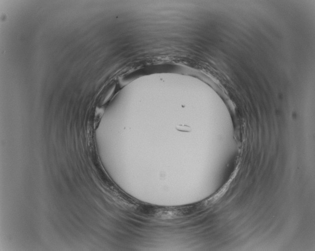 X0000067480174200605051721