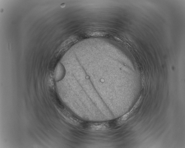 X0000067480175200605051721