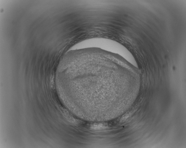 X0000067480177200605051721