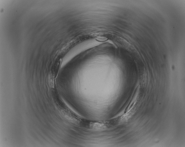 X0000067480180200605051722