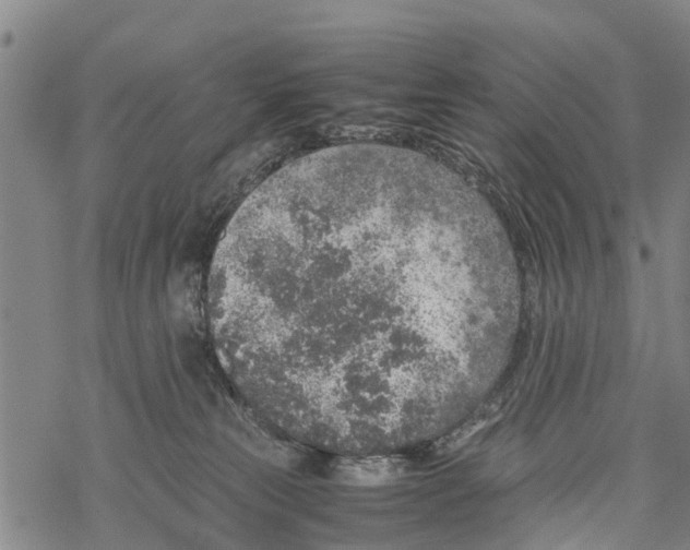 X0000067480181200605051722