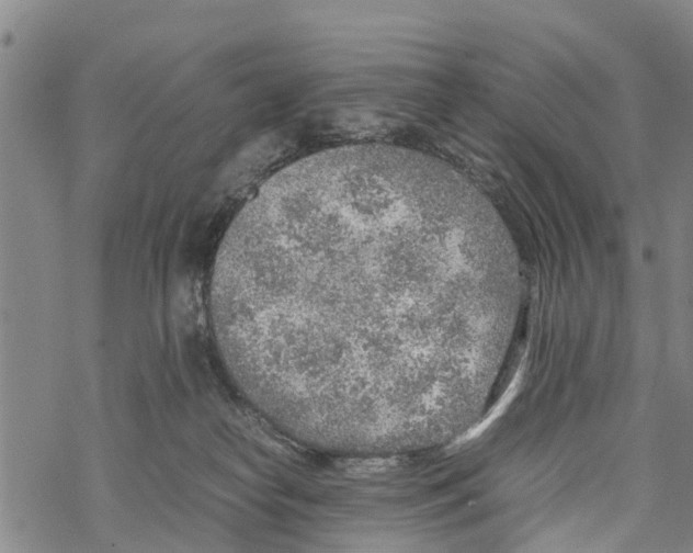 X0000067480182200605051722