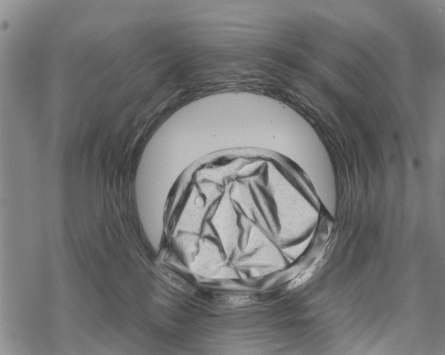 X0000067480184200605051722