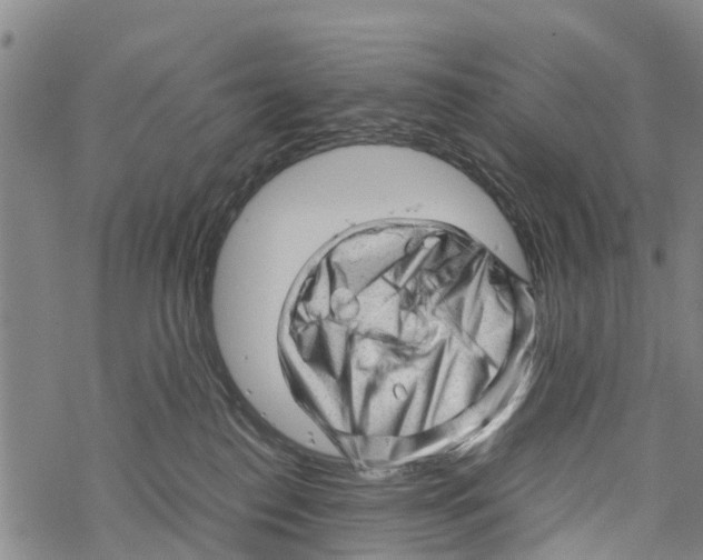 X0000067480186200605051722