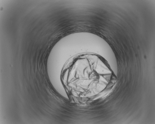 X0000067480187200605051722