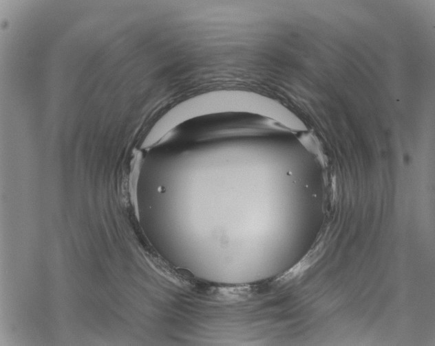 X0000067480188200605051722