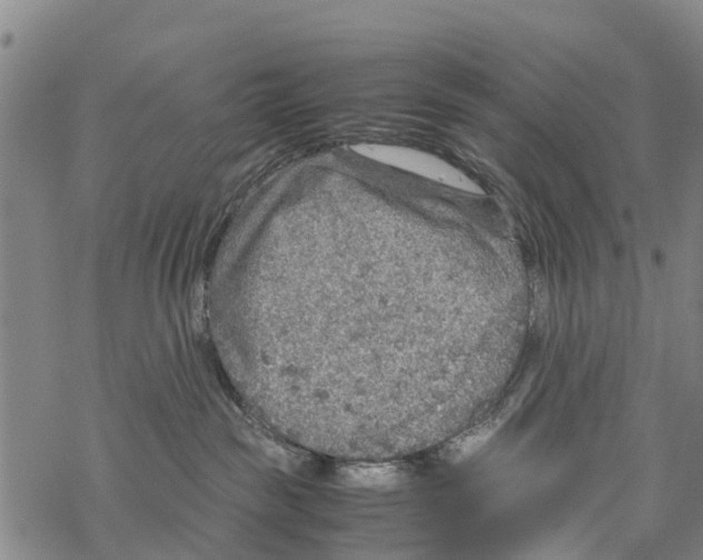 X0000067480189200605051722