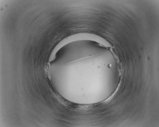 X0000067480190200605051722