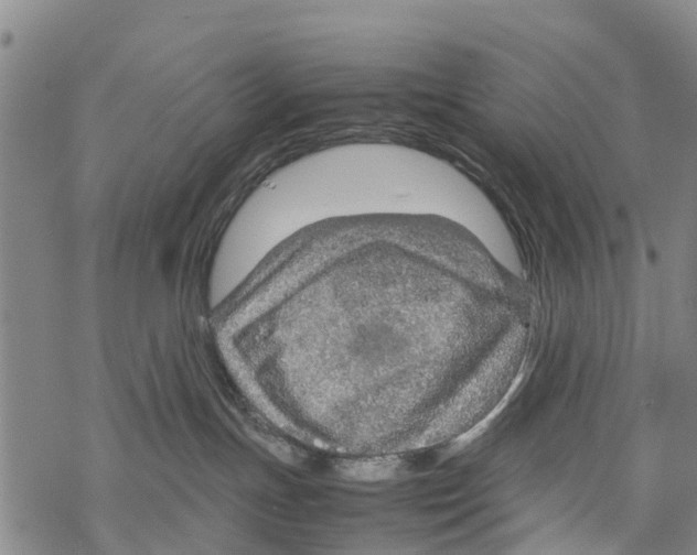 X0000067480191200605051722