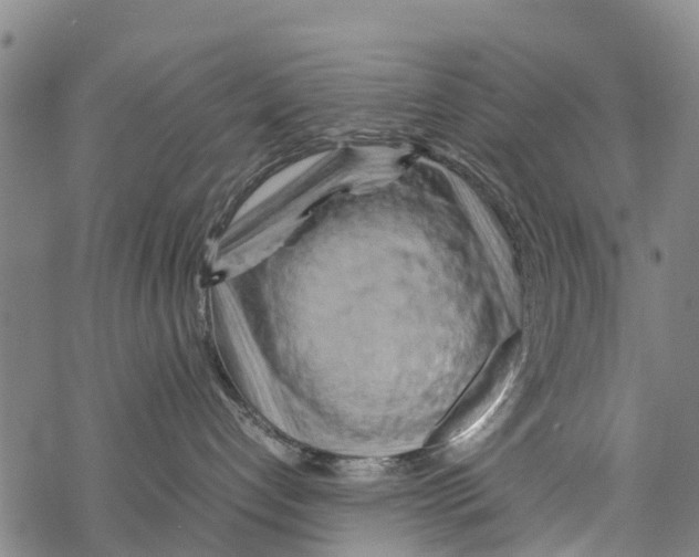 X0000067480192200605051722