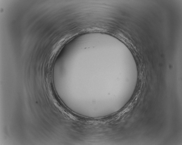 X0000067480193200605051721