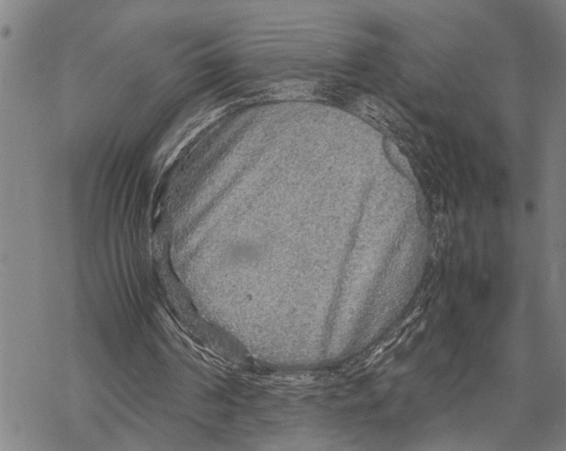 X0000067480194200605051721