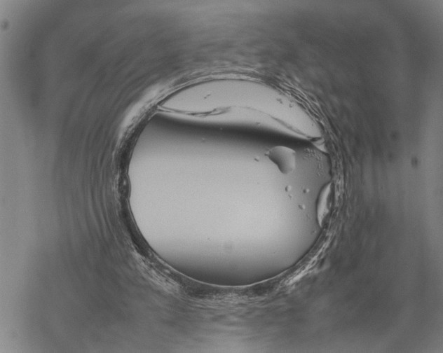 X0000067480197200605051721