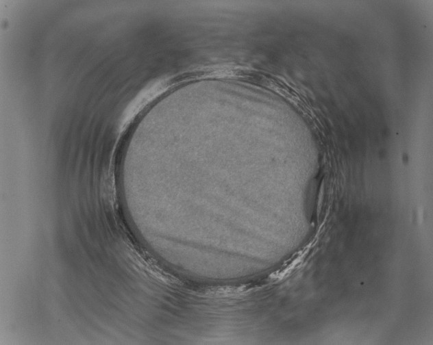 X0000067480198200605051721